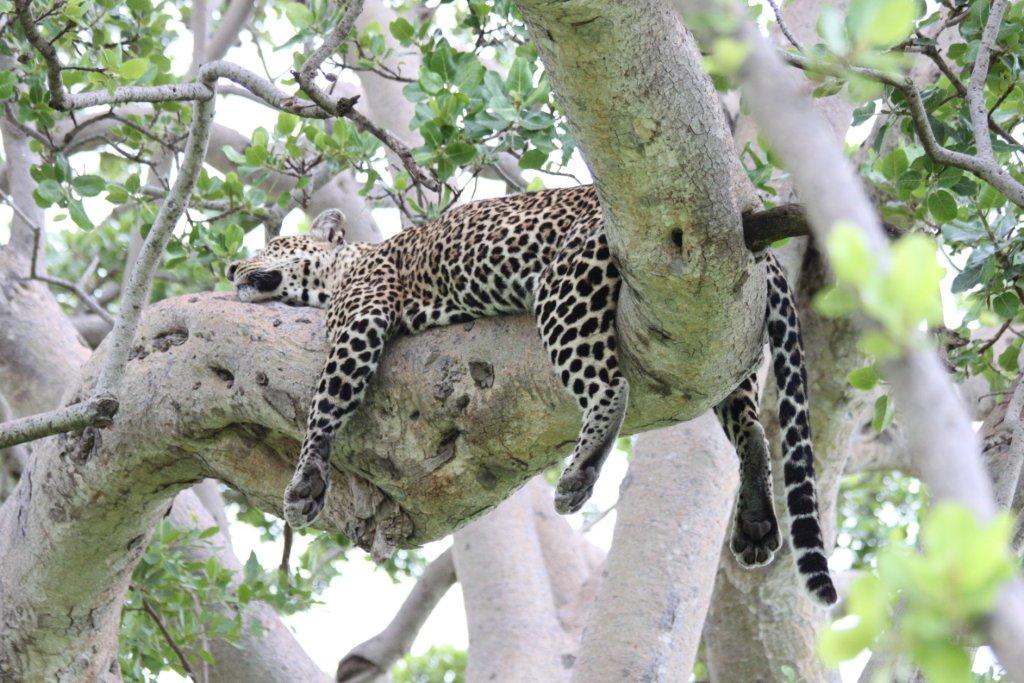 trip to South Africa trip to South Africa