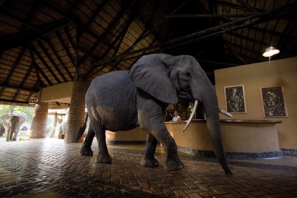 mfuwe trip to Zambia