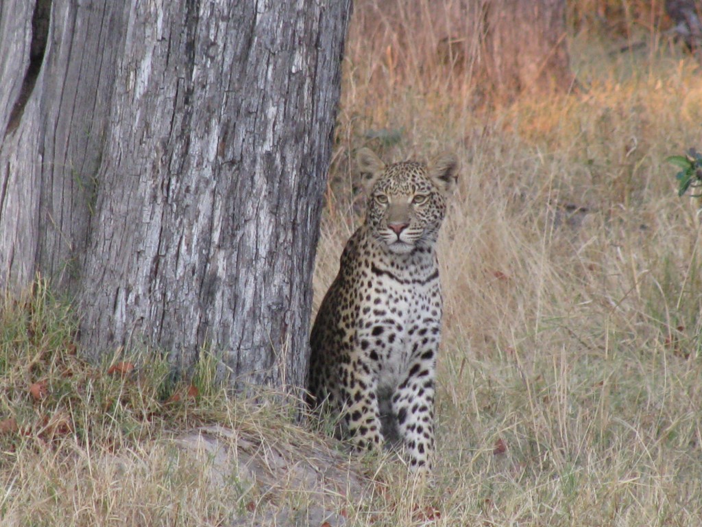 trip to south africa trip to Souther Africa