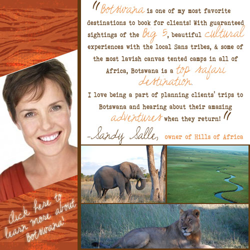 Botswana safari tours