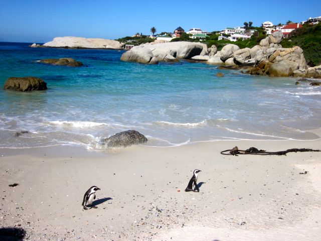 trip to South Africa