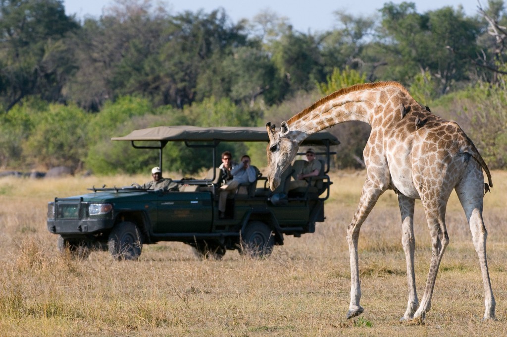 african safari vacation african safari vacation