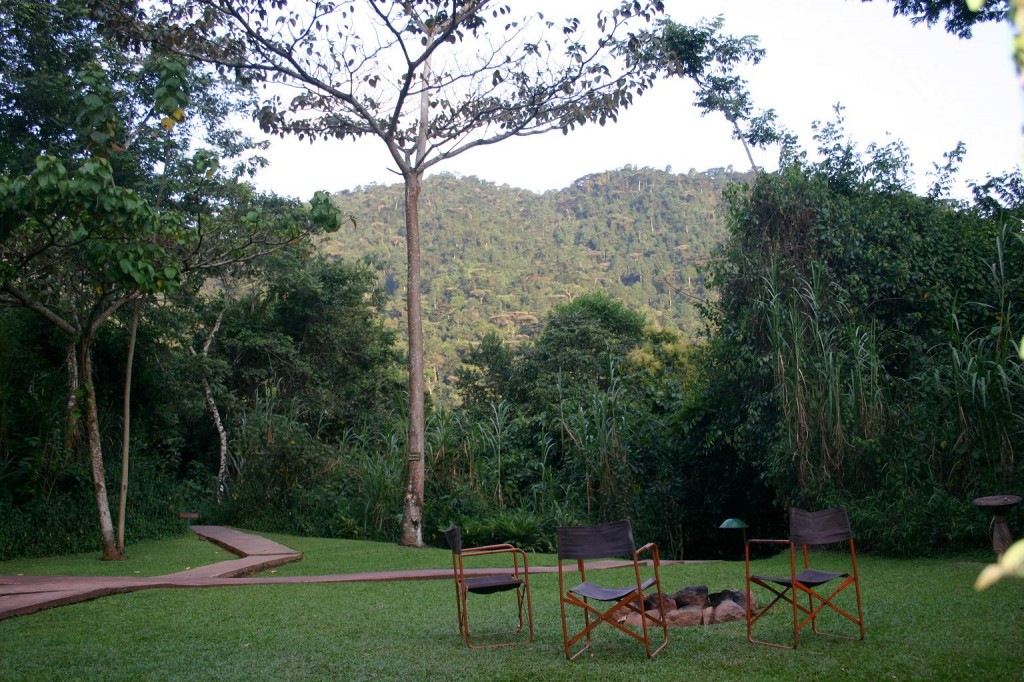 gorilla forest camp 