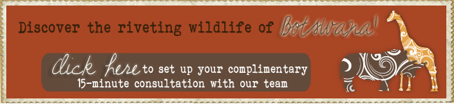 Botswana safari vacation