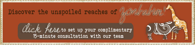 zimbabwecalltoaction