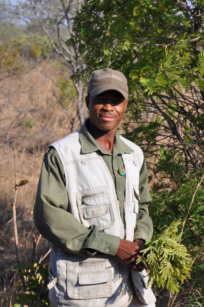 family safari vacation