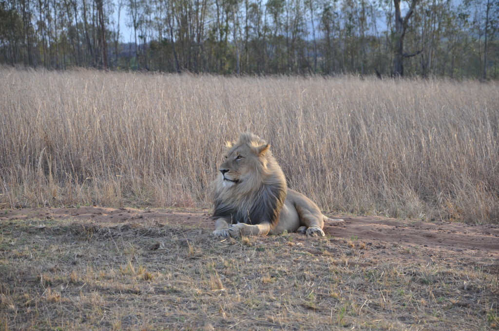 trip to South Africa