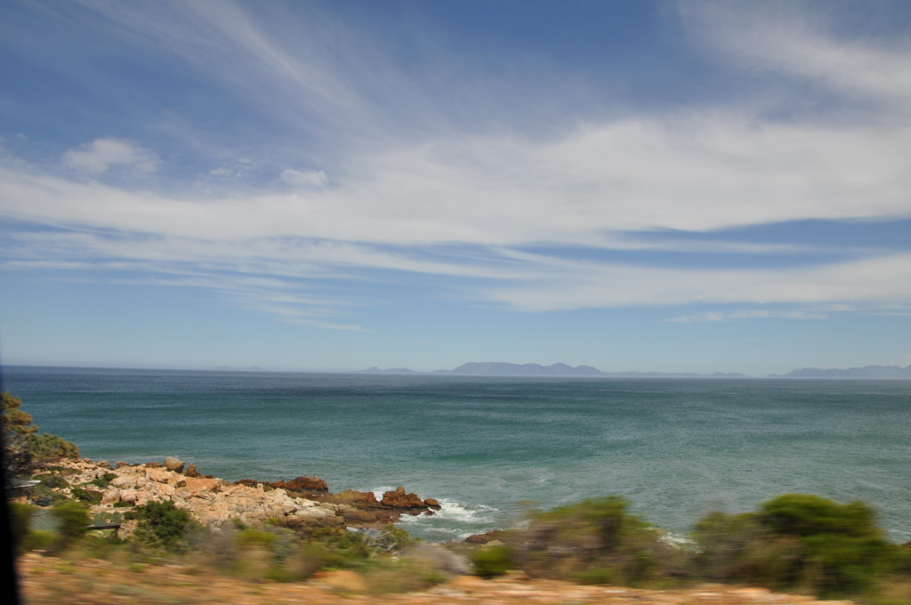 South Africa safari vacation