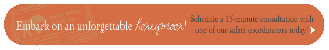 honeymoon in africa