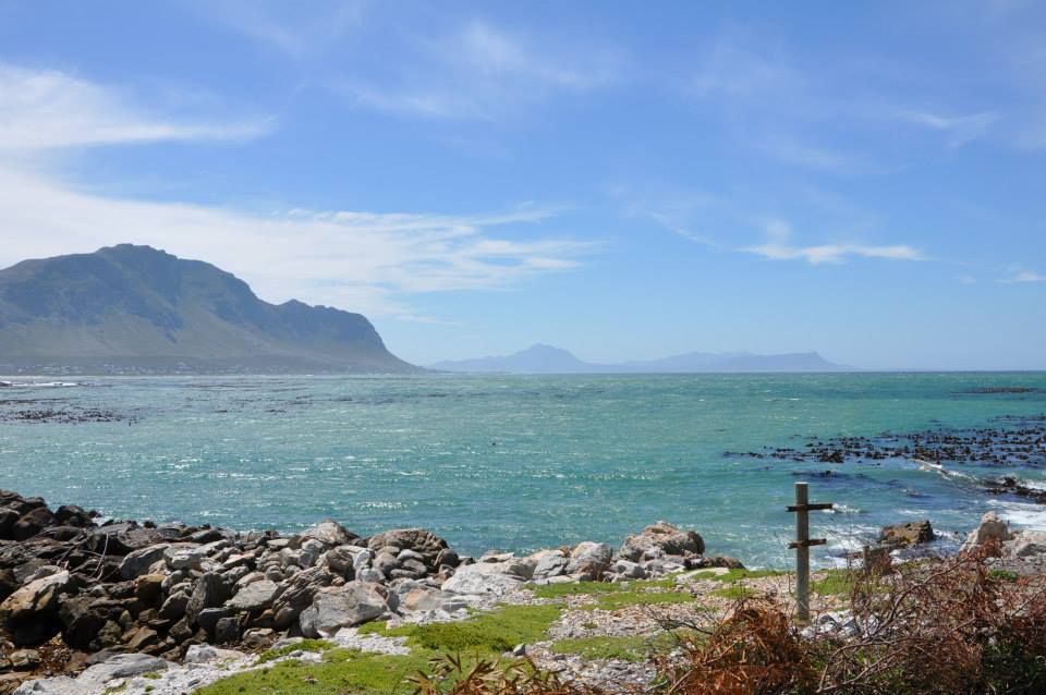 stony point penguin colony