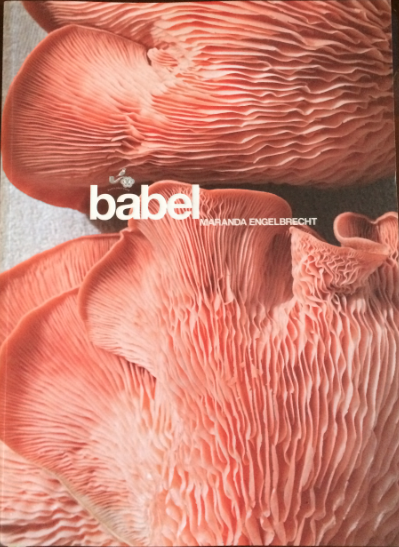 babel restaurant south africa
