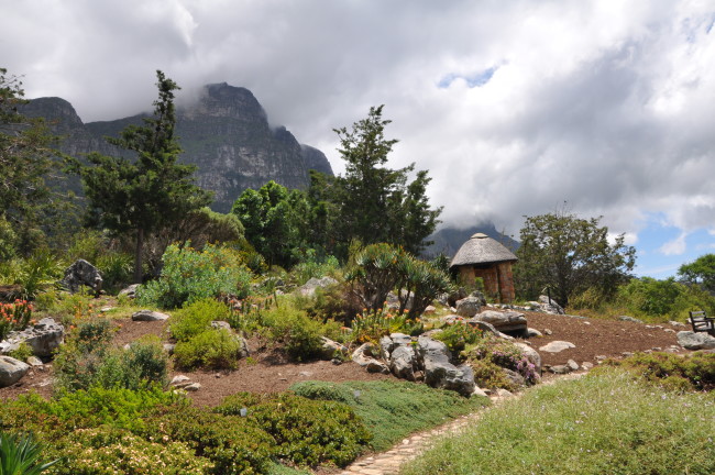 Kirstenbosch Botanical Gardens