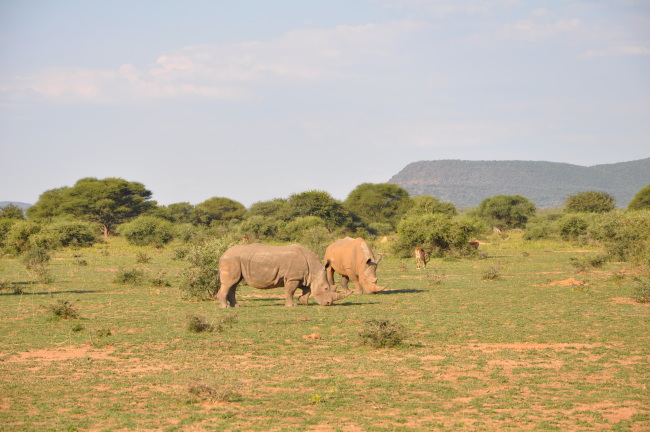 South Africa honeymoon