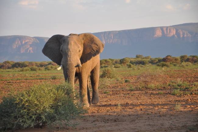 South Africa honeymoon