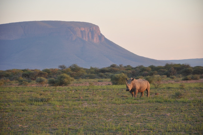 South Africa honeymoon