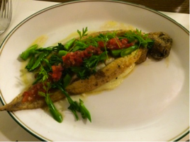 sole