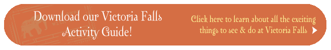 vic falls activity guide cta