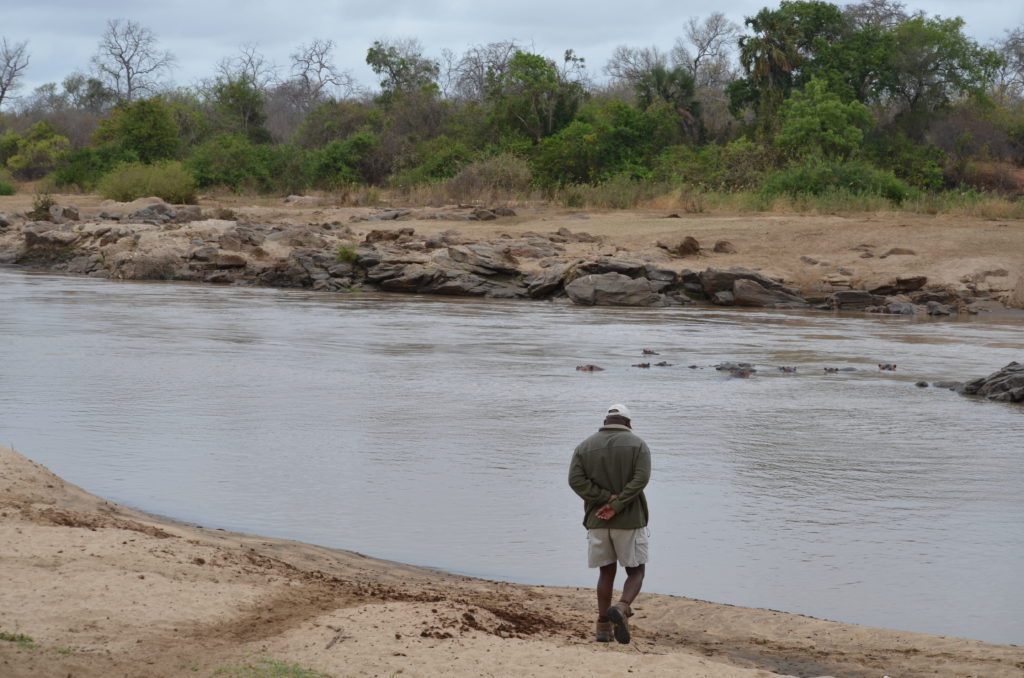 Joseph checking things out.