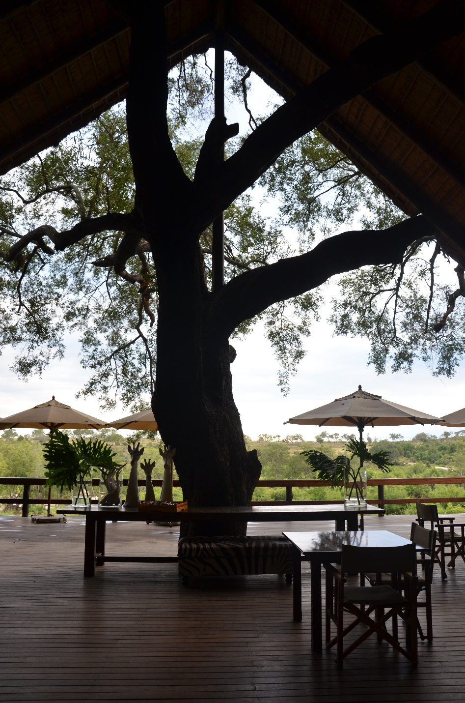 Beautiful spot for lunch