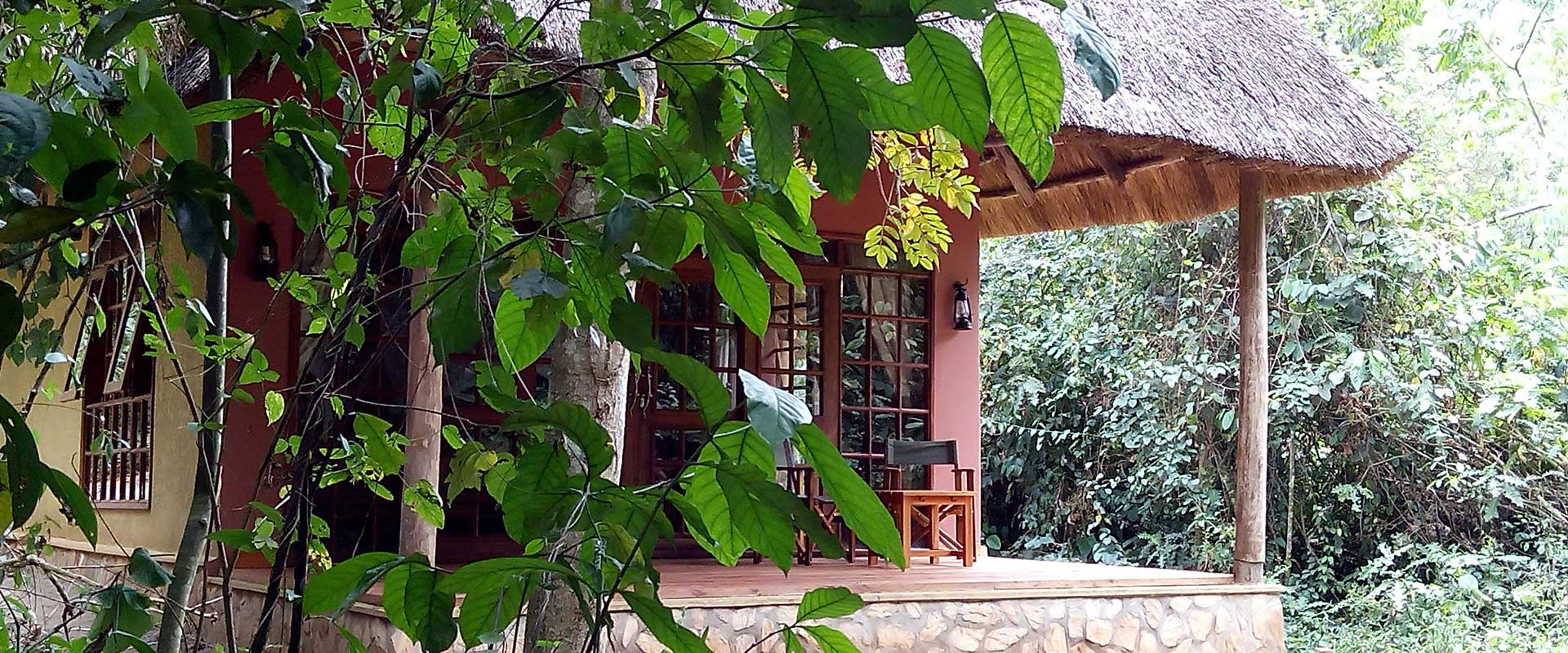 Primates Lodge, Uganda - thanks to Primates Lodge for the photograph