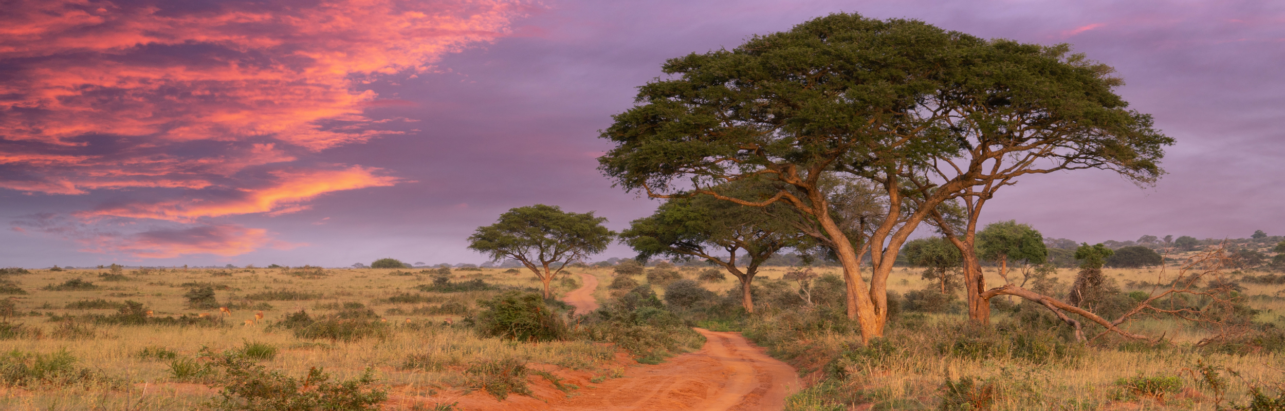 Website Banner Uganda Wander