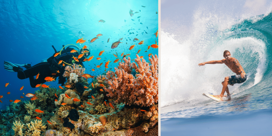 Active Adventure Safari - Scuba Diving & Surfing