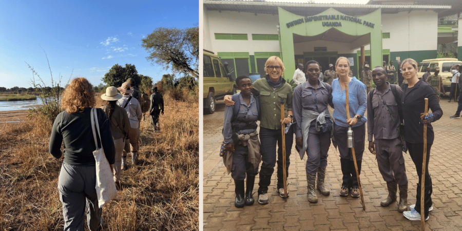 Adventure Safari Experience - Walking Safari & Gorilla Trekking